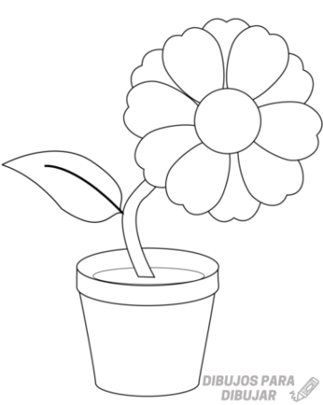 Dibujos De Plantas Para Colorear Hoy