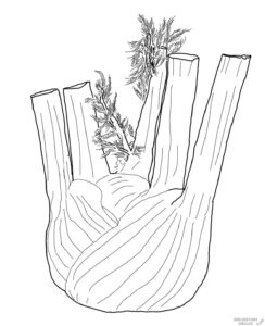 como cultivar apio españa scaled