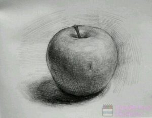 como dibujar una manzana realista