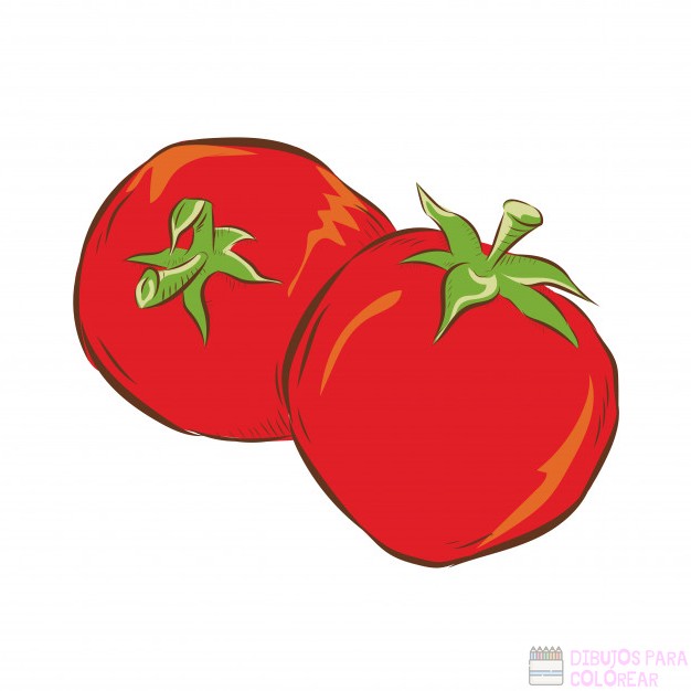 ᐈ Dibujos de Tomates【TOP 30】Un delicioso boceto