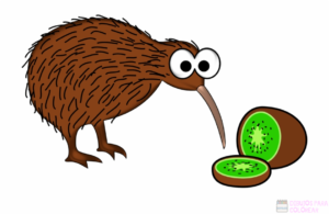 dibujo del kiwi