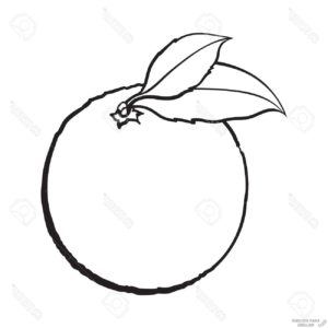 dibujos de naranjas para imprimir 1
