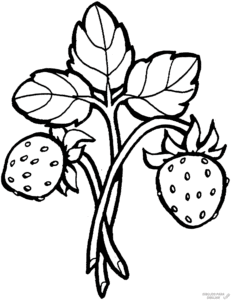 fresas para imprimir scaled
