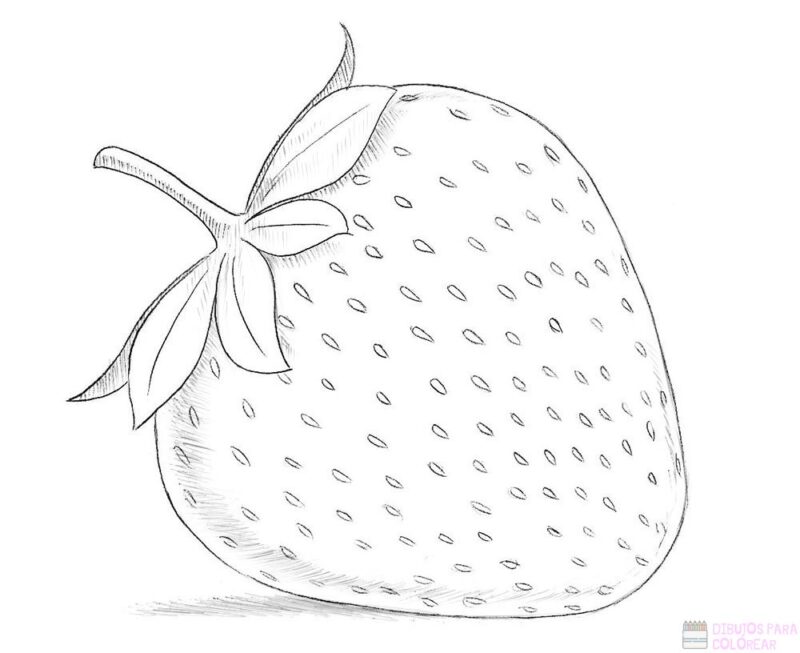 ᐈ Dibujos De Fresas【top 30】un Delicioso Boceto Dibujos Para Colorear 8566