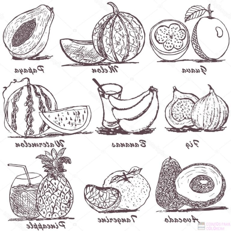 Dibujos De Frutastop Un Delicioso Boceto