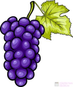 imagenes de uvas animadas