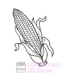 imagenes del maiz para colorear