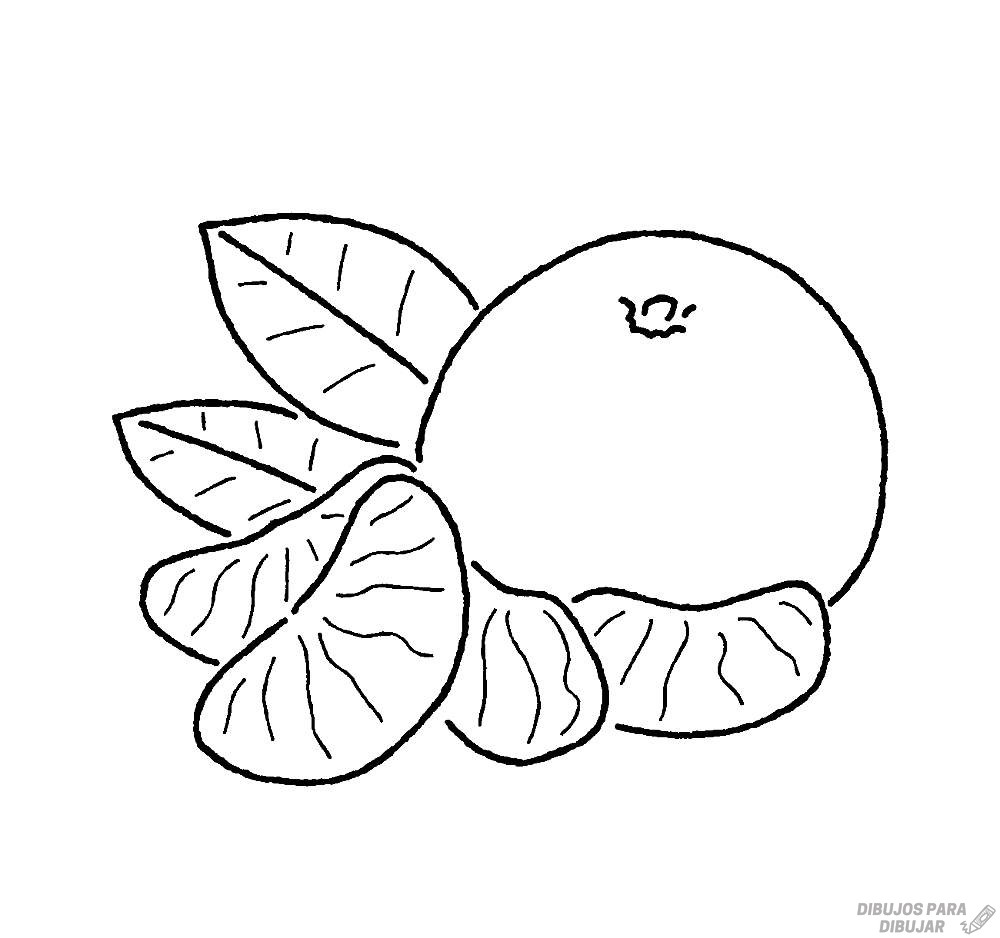 mandarina en dibujo 1