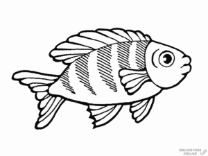 pescaditos dibujos 1