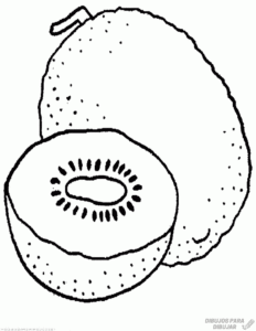 que tipo de fruta es el kiwi