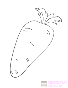 zanahoria planta