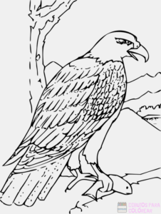 Aguila para Colorear
