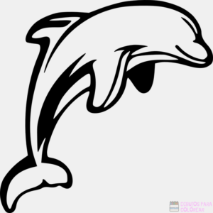 Como dibujar un delfin