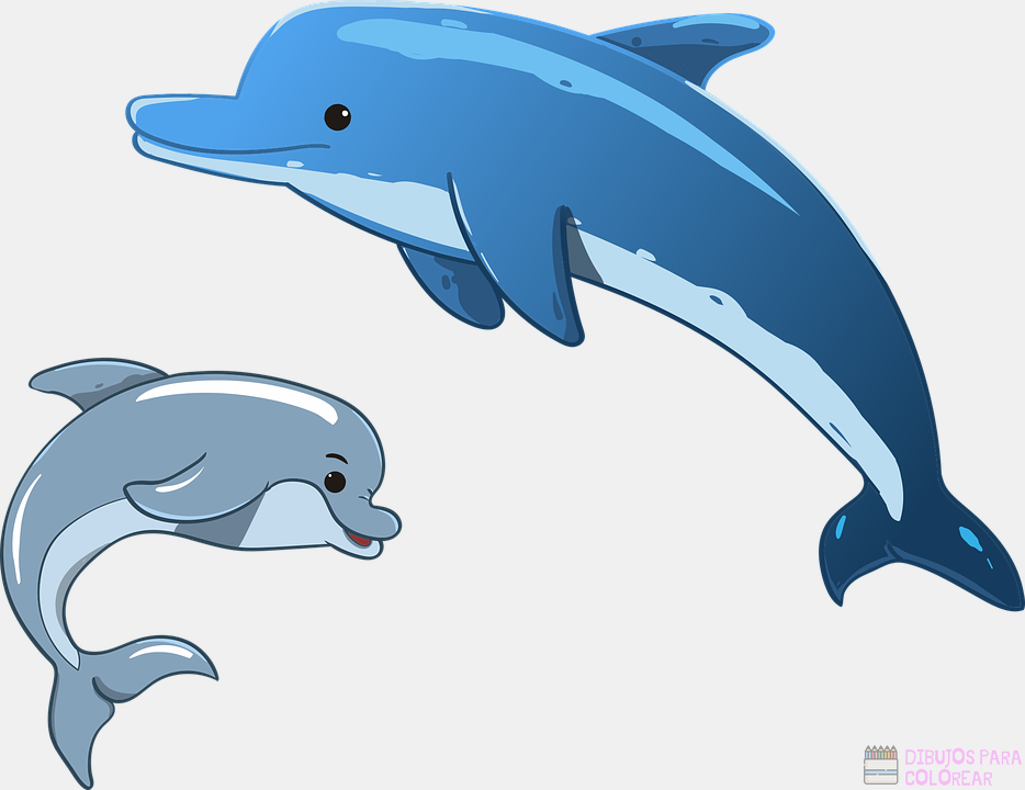 🥇 Dibujos de Delfines【+250】faciles para colorear