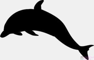 Delfines imagenes dibujos