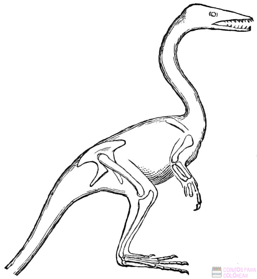 🥇 Dibujos de Dinosaurios【+250】faciles para colorear