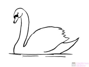cisne animado