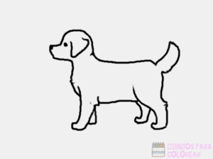 como dibujar a un cachorro
