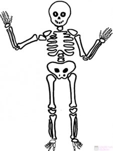 como dibujar esqueletos