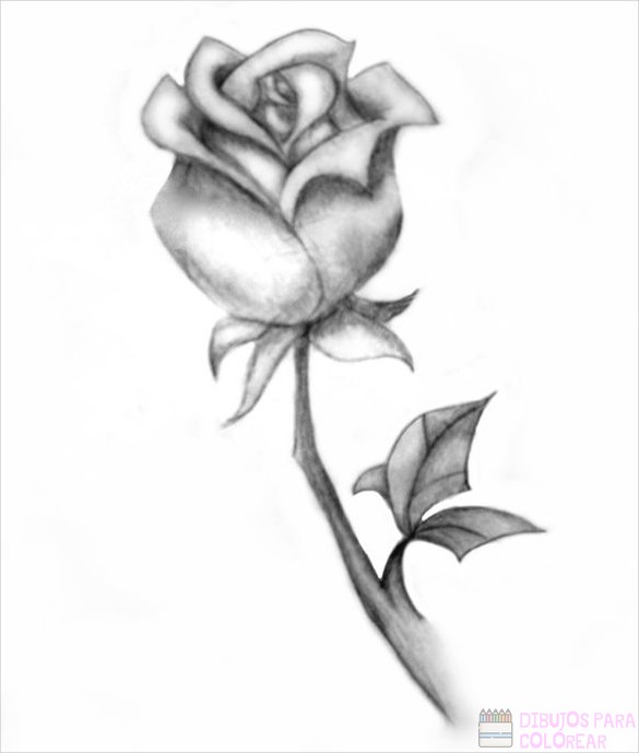 Featured image of post Bonitas Imagenes Para Colorear De Rosas Para compartir una imagen de rosas s lo da clic en alguno de los botones debajo de la