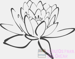 cuadro flor de loto