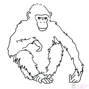 cómo dibujar un gorila