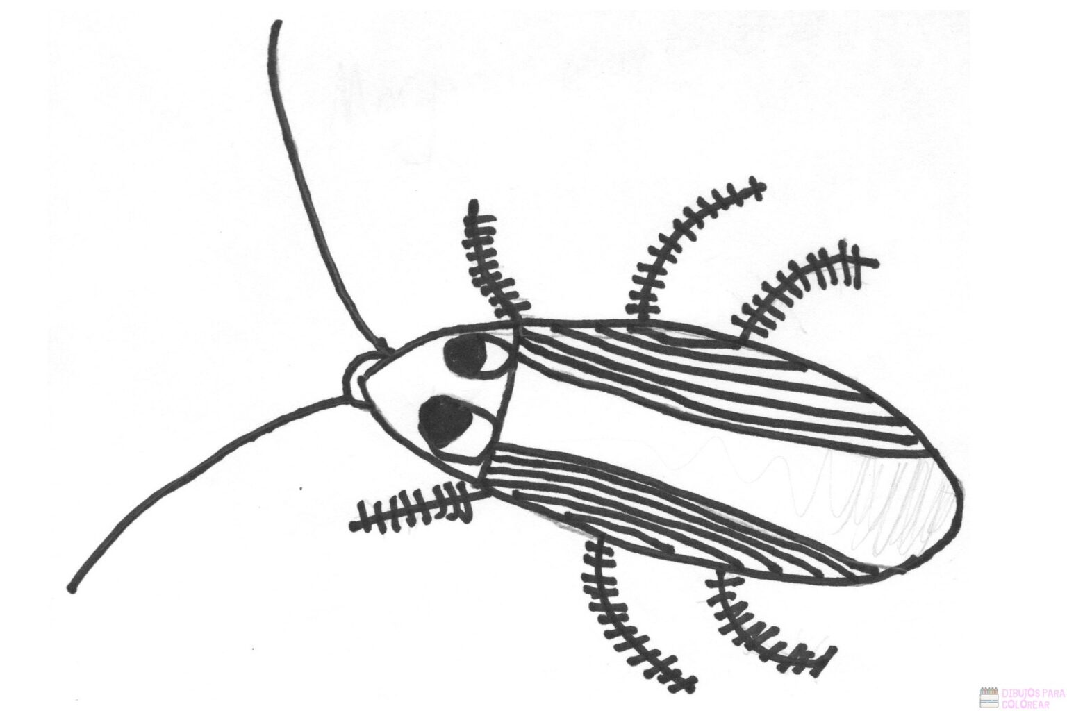 Dibujos De Cucarachas Faciles Para Colorear Dibujos Para Colorear