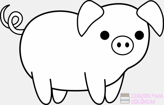  🥇 Dibujos de cerdos【  】faciles para colorear