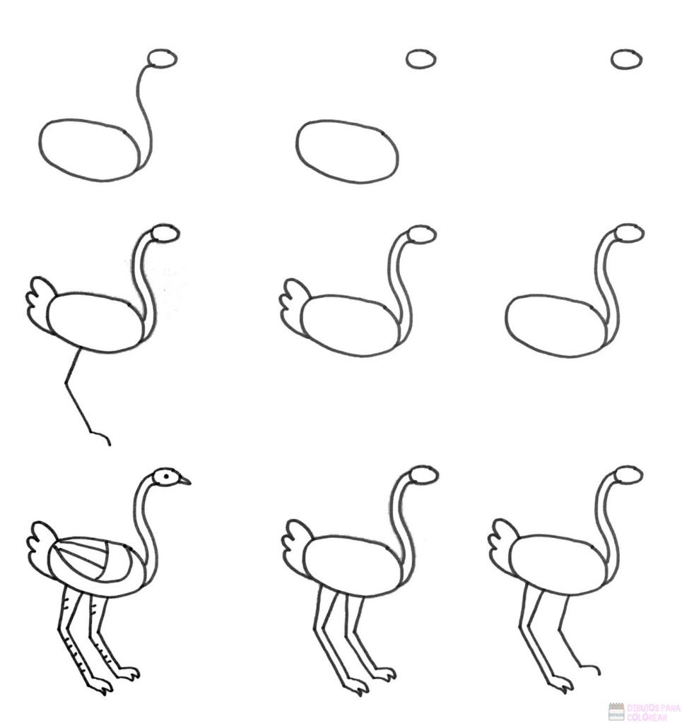 磊 Dibujos de avestruz【+250】Lindos y faciles