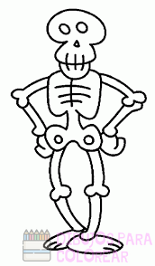dibujo de esqueleto humano