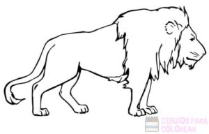 dibujo de leon infantil