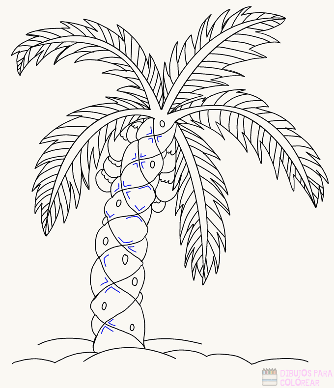 ᐈ Dibujos de palmeras【+1000】Para colorear Hoy