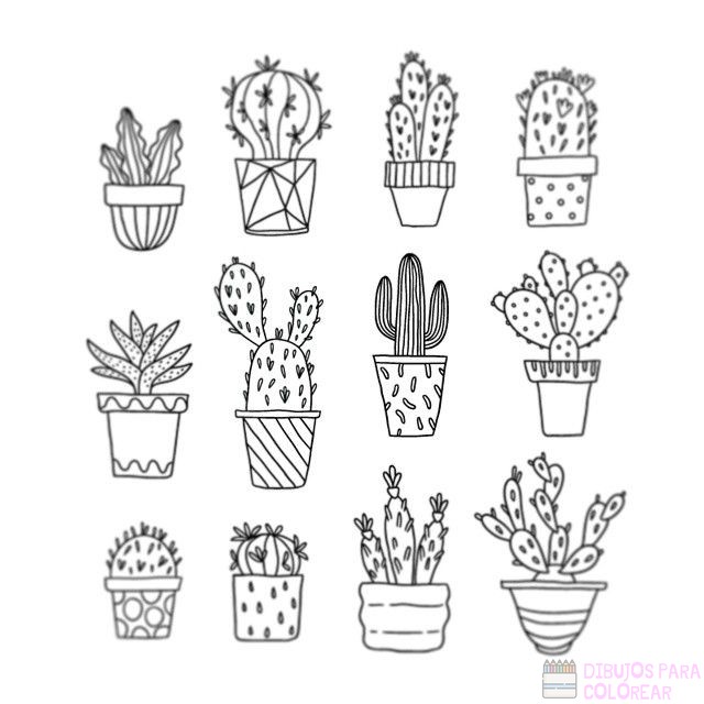 ᐈ Dibujos de cactus【+1000】Para colorear Hoy