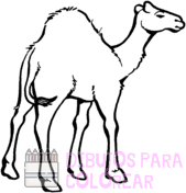 dibujos de camellos faciles