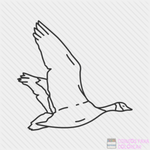 dibujos de cisnes para dibujar