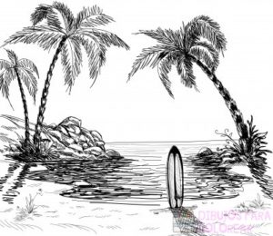 dibujos de palmeras tropicales