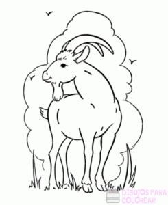 dibujos de una cabra animada