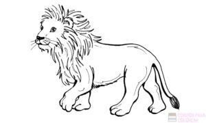 dibujos del rey leon