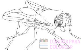 dibujos infantiles de insectos