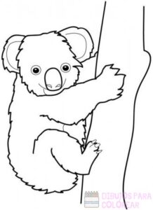 dibujos koala mofli