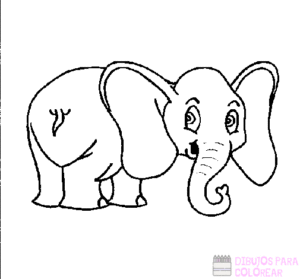 elefante bebe dibujo