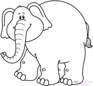 elefante dibujo infantil