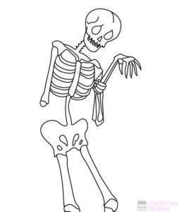 esqueleto humano dibujo facil