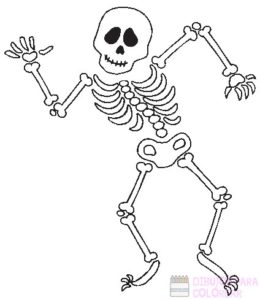esqueleto para recortar