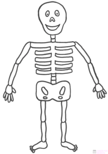 figura del esqueleto humano