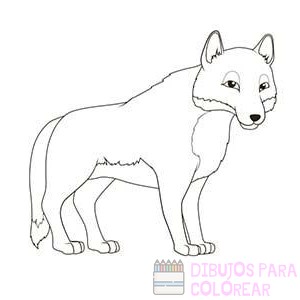 ? Dibujos de lobos【+250】rapidos para colorear