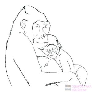 gorila para niños