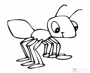 hormiga para pintar
