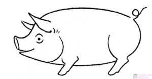 imagen cerdo