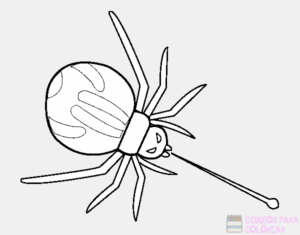 imagenes de arañas animadas